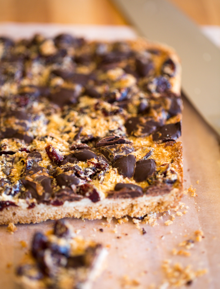 Chocolate Coconut Bars Recipe Sarah Sharratt