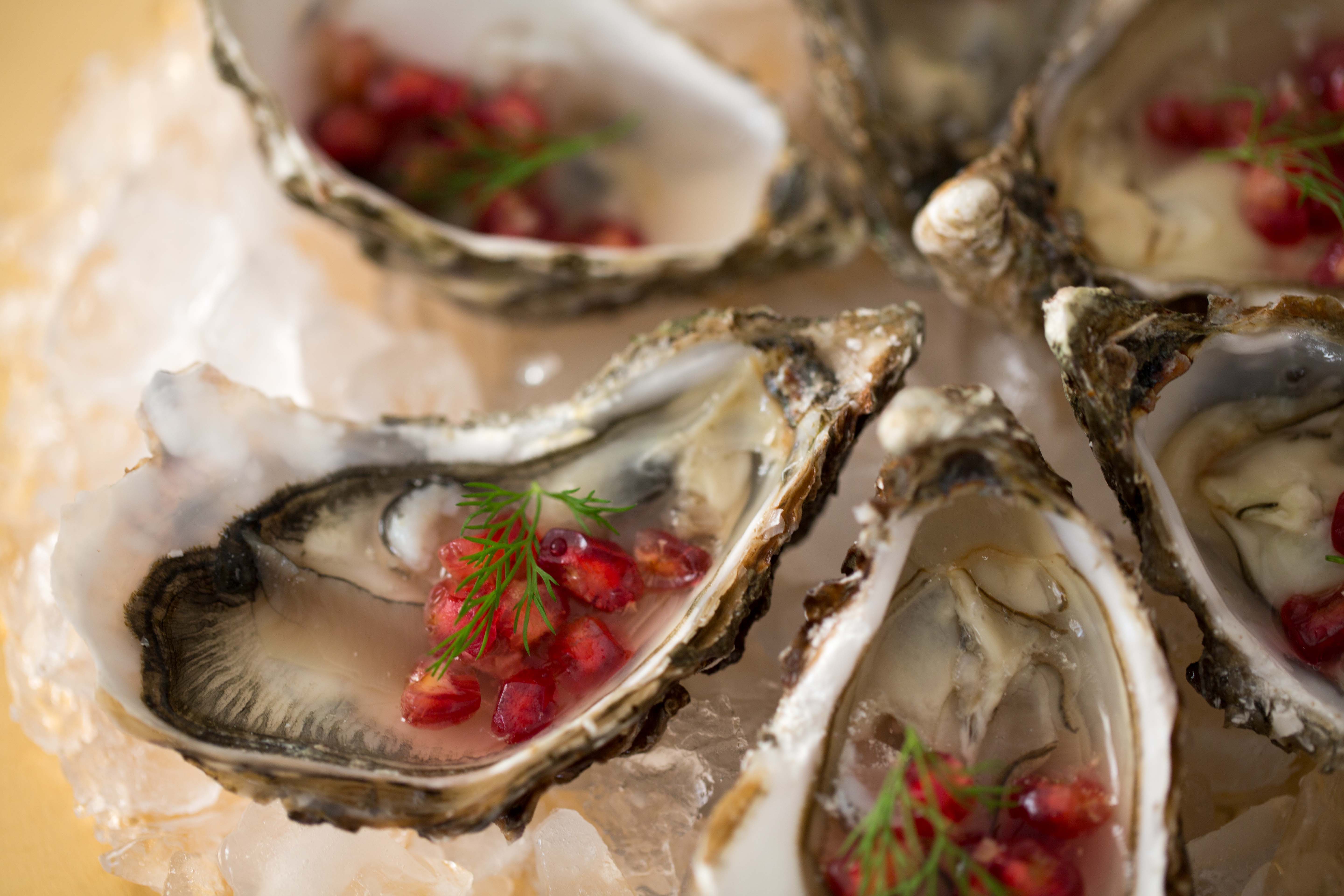 Oysters with Pomegranate and Dill Recipe Sarah Sharratt